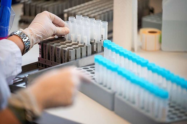 Eine Labormitarbeiterin bereitet  Testrhrchen fr einen PCR-Test vor.  | Foto: Sebastian Gollnow (dpa)