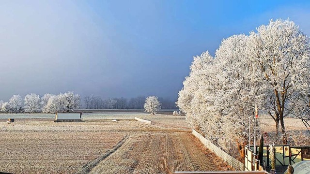 Reif, Nebel und Sonne beim Gelndeweg hinter Kollmarsreute.  | Foto: Eva-Maria Einert