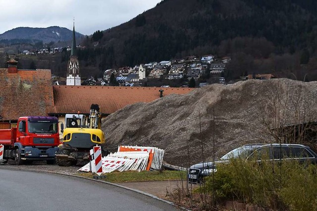 Es ist noch da, das Erdaushublager in der Tunauer Strae.  | Foto: Nicolai Kapitz