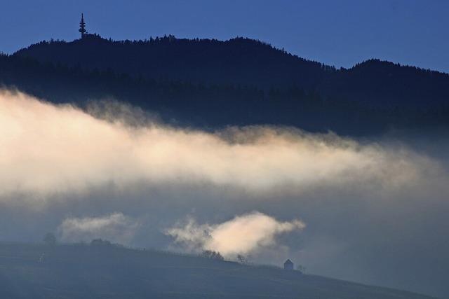 Zwischen Schwarzwald und Reben