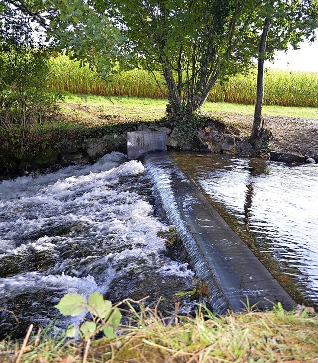 Zweite Krebssperre in Neuhuser  | Foto: Nikola Vogt