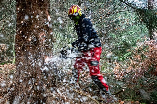 Teile des Rttlerwalds in Lrrach sind...larbeiten nicht begehbar (Symbolfoto).  | Foto: Swen Pfrtner