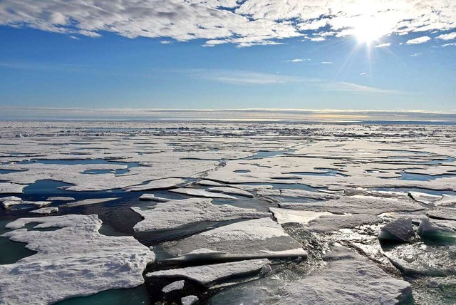 Auf dem Arktischen Ozean am Nordpol schwimmen Eisplatten.  | Foto: Ulf Mauder (dpa)