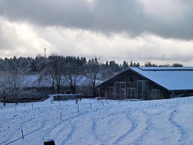 Familie Ebner mchte die Erfolgsgeschi... in Dachsberg-Happingen fortschreiben.  | Foto: Karin Stckl-Steinebrunner