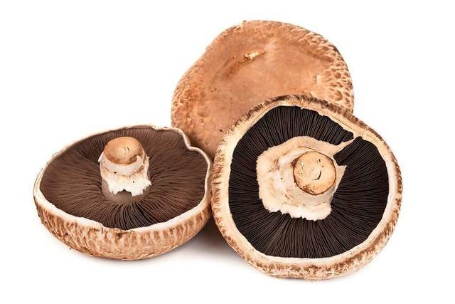 Der Portobello-Pilz liefert Eiweiß und Vitamine