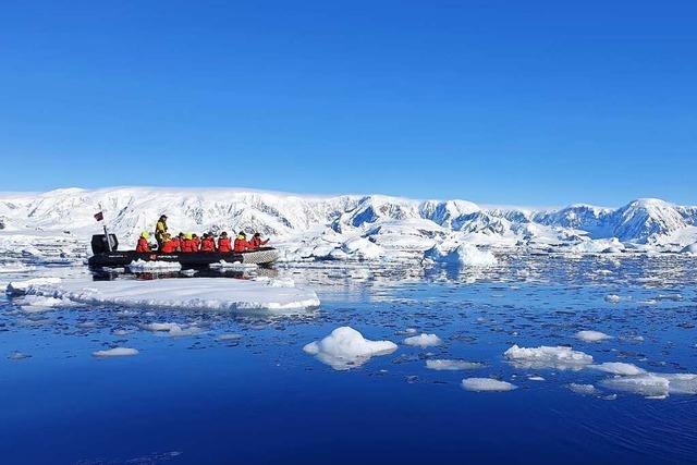 Wie die Meeresbiologie in den Eisfjorden vom Tourismus profitiert