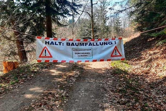 Waldwege und Kreisstrae bei Suggental wegen Holzernte gesperrt