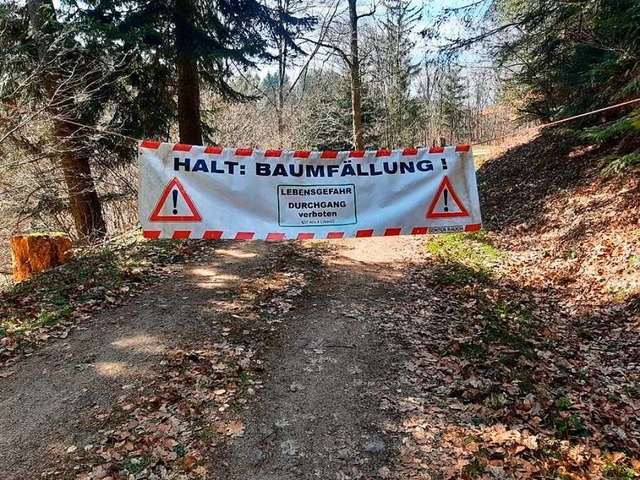 Im Zuge der Baumfllungen kommt es zu ...Sperrungen von Wald- und Wanderwegen.   | Foto: Forst BW