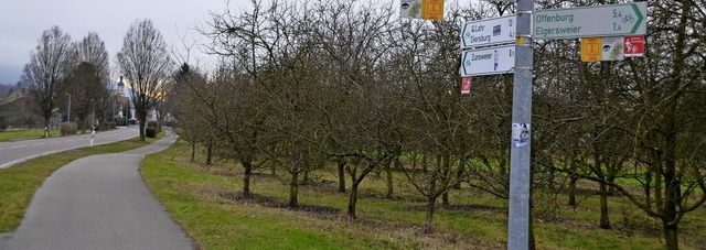 Verbreitert werden soll der Radweg zwischen Zunsweier und Elgersweier.   | Foto: Hubert Rderer