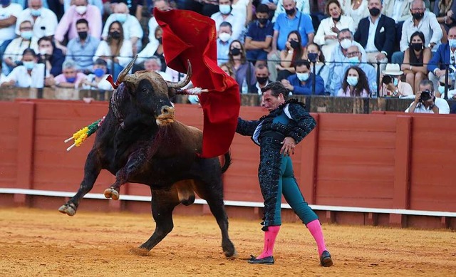 Der Stierkmpfer Diego Urdiales in Spanien bei einem Kampf in Spanien 2021.  | Foto: Eduardo Briones