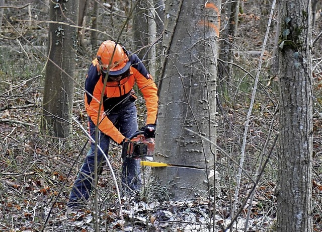 Ein Selbstwerber im Rheinwald  | Foto: Roland Vitt