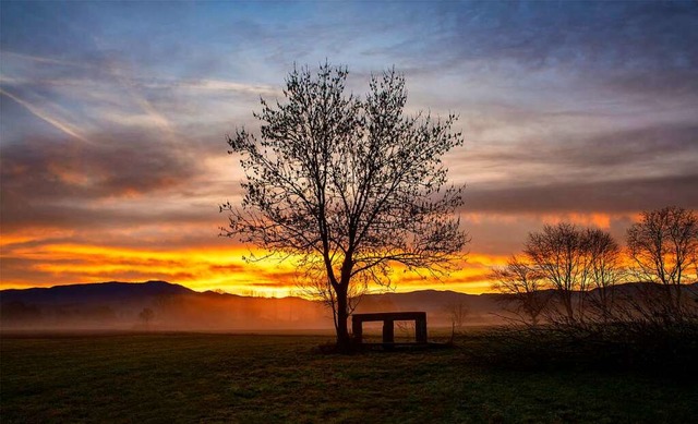 Morgenstimmung in den Elzwiesen  | Foto: Wolfgang Speer