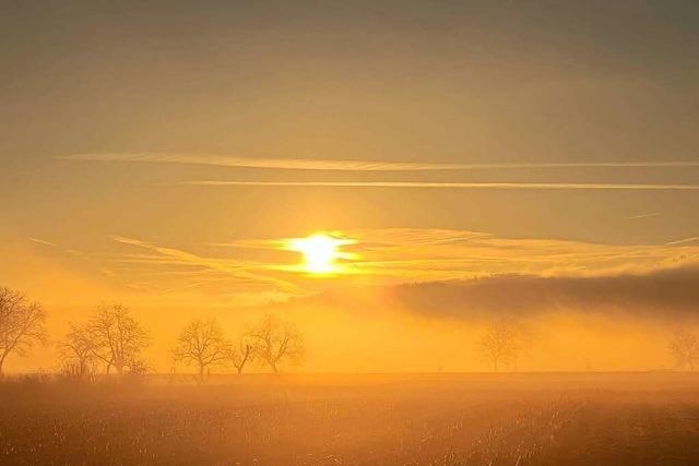 Sonnenaufgang mit Nebelschwaden am Kaiserstuhl bei Wyhl