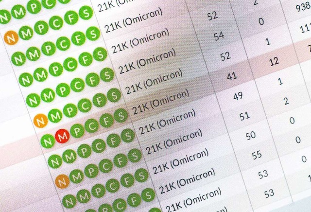 Bei immer mehr Corona-Tests wird die Omikron-Variante gefunden  | Foto: Julian Stratenschulte (dpa)