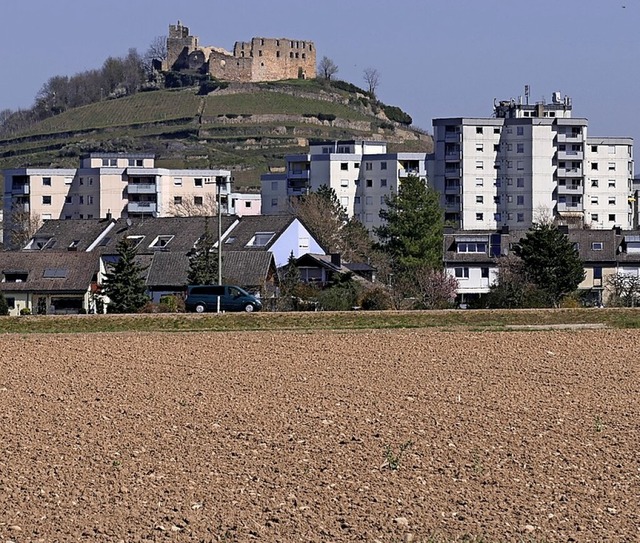 Nur ein mgliches Neubaugebiet  Falkenstein III findet die Zustimmung des BUND.  | Foto: Hans-Peter Mller