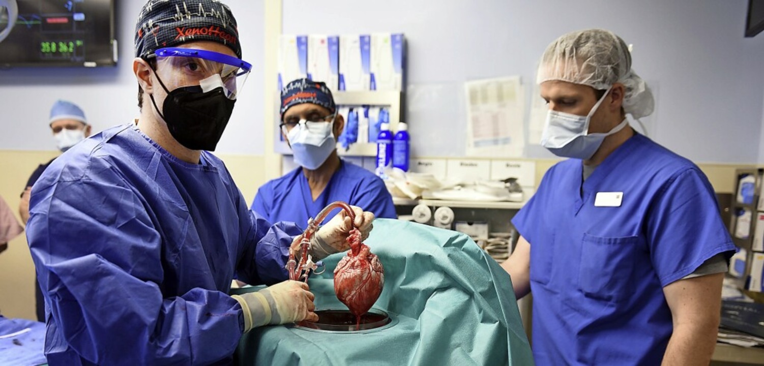 Ärzte in Baltimore operieren an einem ...enschlichen Patienten eingesetzt wird.  | Foto: Tom Jemski (dpa)