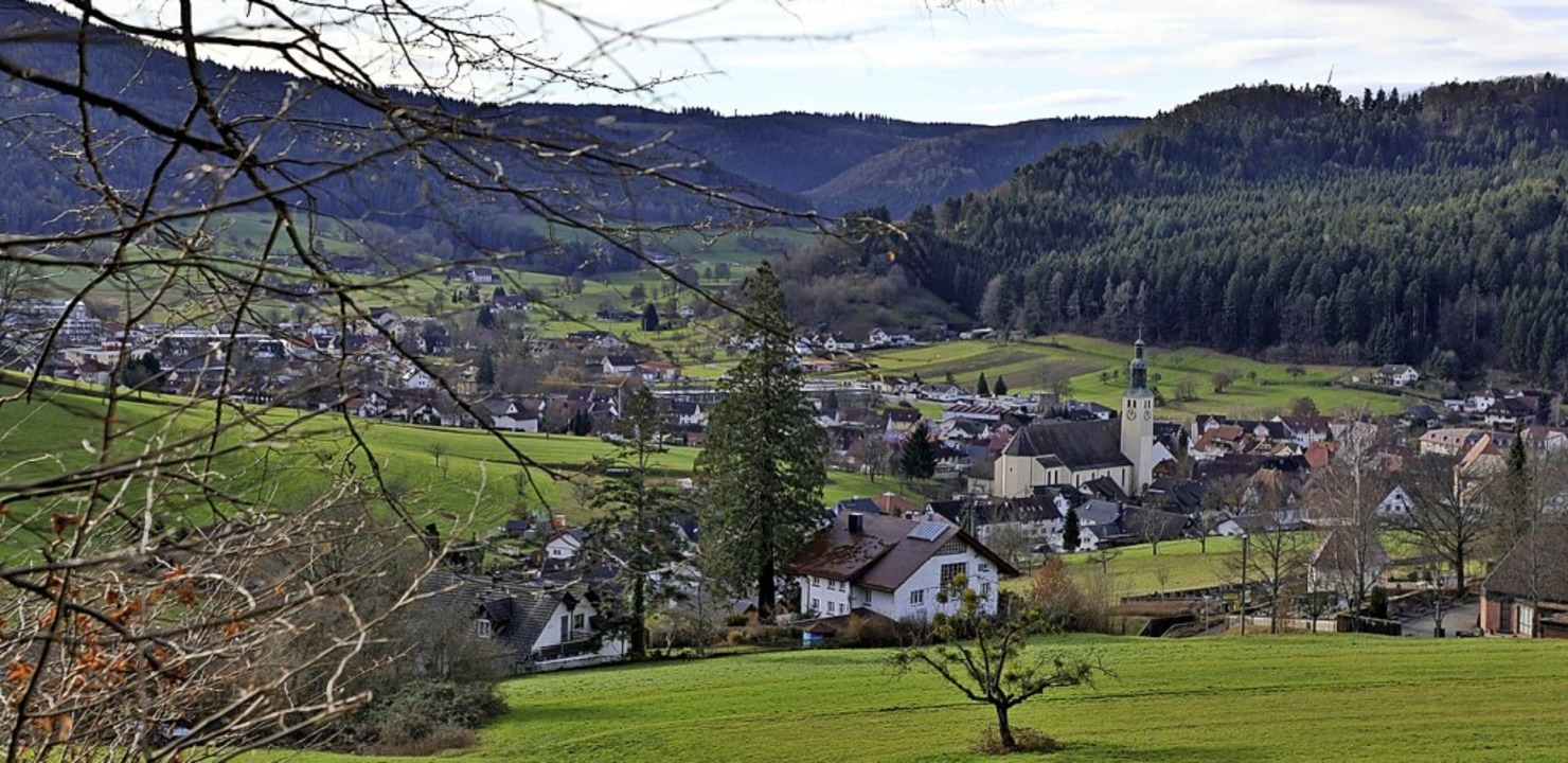 Seelbach hat laut Statistik jetzt 4948 Einwohner.   | Foto: Christoph Breithaupt