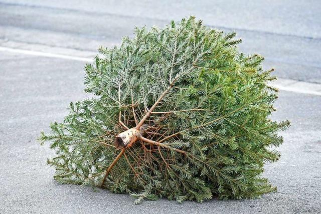 In Schweden wird der Baum am 13. Januar entsorgt.  | Foto: Michael Bamberger