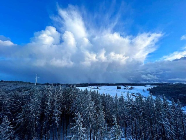 Winterlandschaft bei Freiamt.  | Foto: Birgit Schweizer