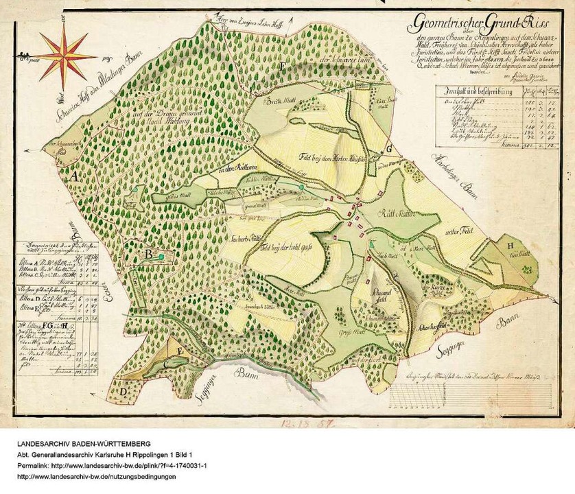 Die Karte aus dem Jahre 1775 zeigt ein...ls eine Ansammlung von 15 Häusern war.  | Foto: Generallandesarchiv Karlsruhe