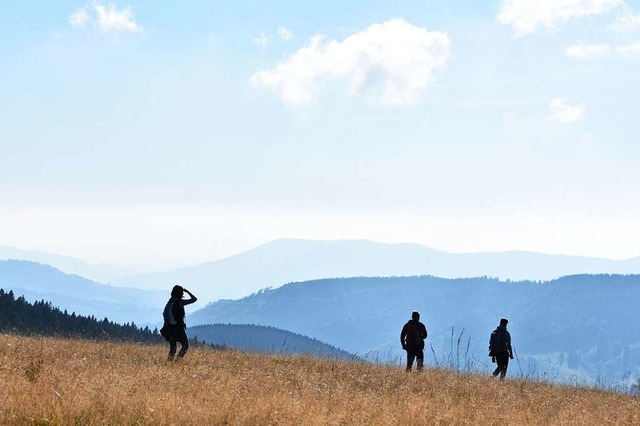 Die Urlaubsregion Schwarzwald ist beli...r auf dem Stbenwasen bei Todtnauberg.  | Foto: Angelika Schmidt