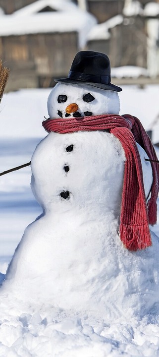 Weiß und kalt: ein Schneemann mit Besen  | Foto: Alexandr Vasilyev - stock.adobe.