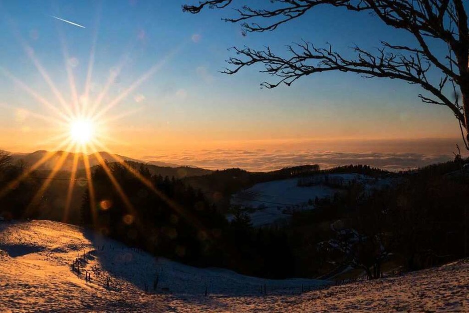 Tolle Ausblicke und wärmende Sonne fanden Annemarie Krebs beim Geiersnest in Bollschweil-St. Ulrich . (Foto: Annemarie Krebs) Tolle Ausblicke und wärmende Sonne fanden Annemarie Krebs beim Geiersnest in Bollschweil-St. Ulrich . (Foto: Annemarie Krebs)