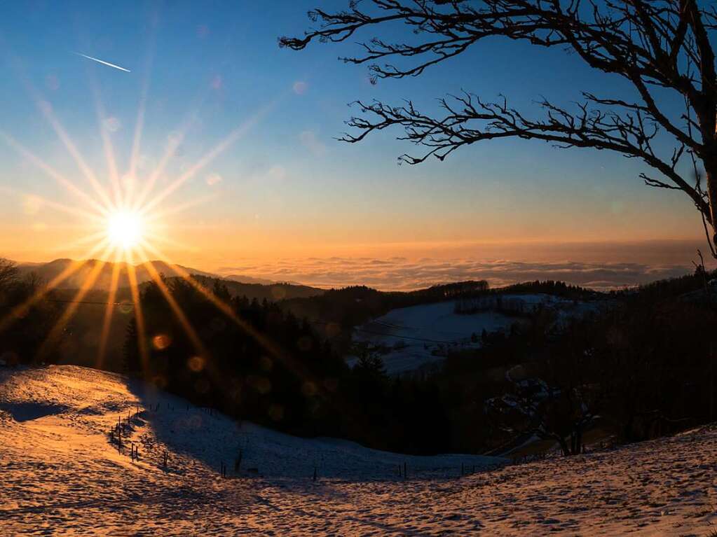 Tolle Ausblicke und  wrmende Sonne fanden Annemarie Krebs beim Geiersnest in Bollschweil-St. Ulrich .