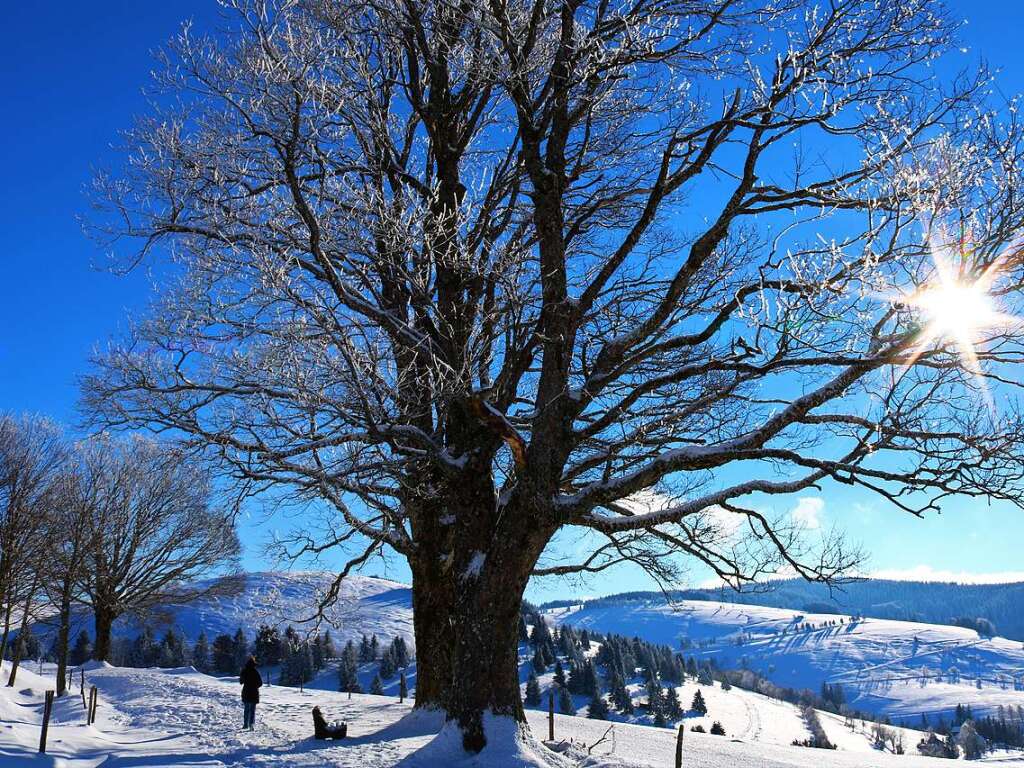 Harald Hfler hat den Winter auf dem Schauinsland genossen.