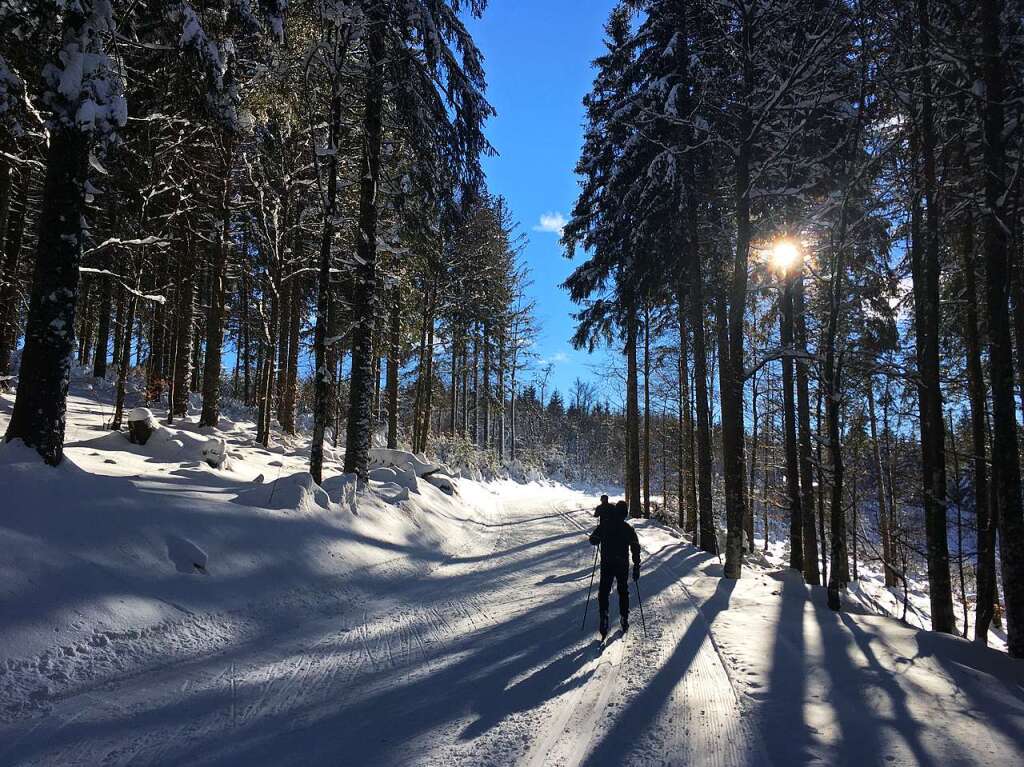 Auf der Notschrei-Loipe