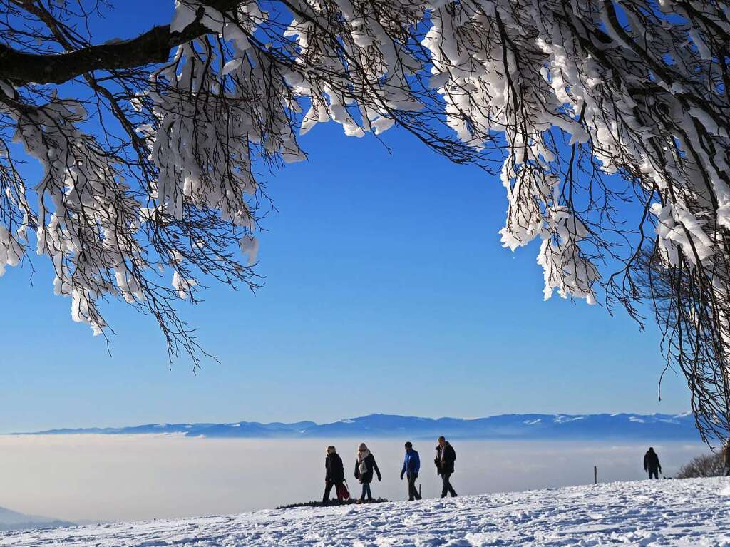 Winterlandschaft in der Region Freiburg