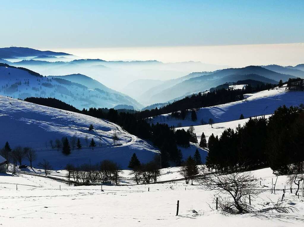 Der Blick  vom Stohren Richtung Markgrflerland.