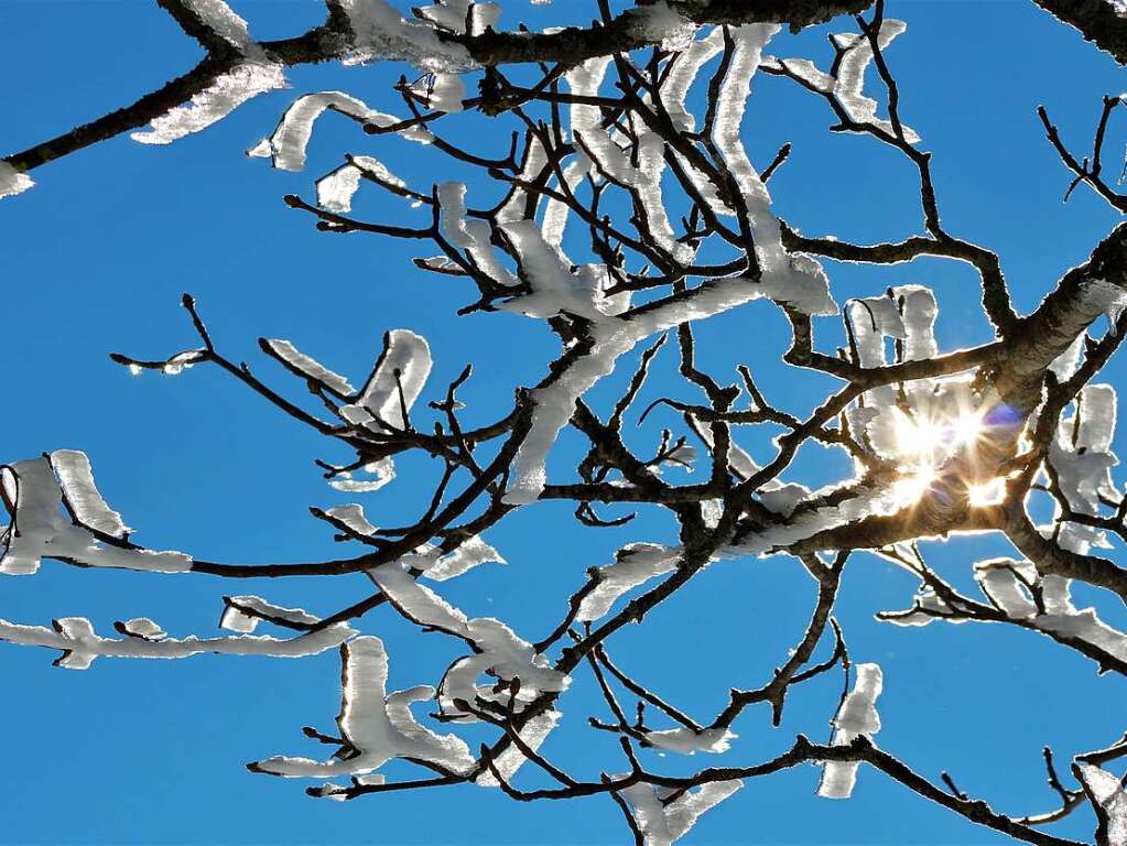 Winterlandschaft in der Region Freiburg