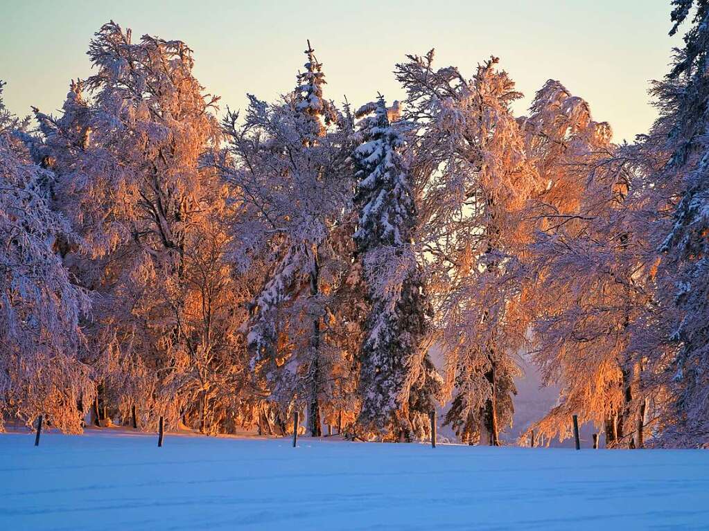 Abendstimmung am Kandel