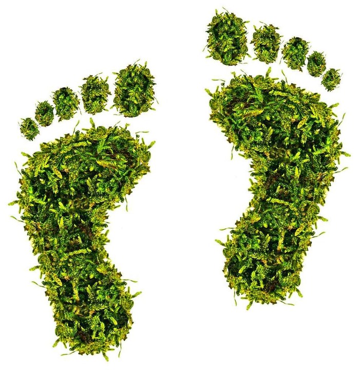 Wie kann man seinen ökologischen Fußabdruck verringern?  | Foto: Jenny Sturm (stock.adobe.com)