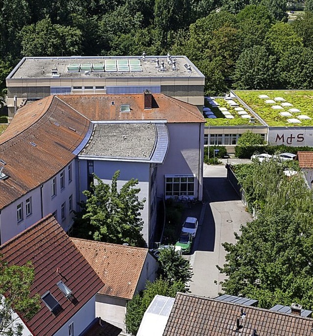 Das Martin-Schongauer-Gymnasium Breisach vom Eckartsberg aus  | Foto: Agnes Pohrt
