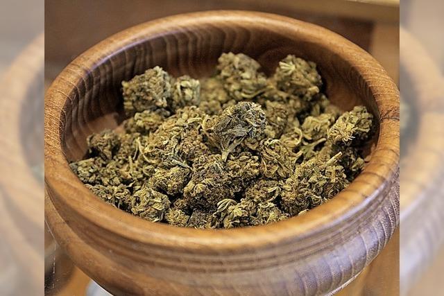 Schon aus theoretischer berlegung ist Cannabis kein gutes Medikament