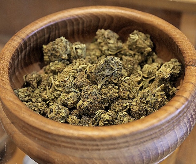 Medizinische sind  von anderen Cannabisblten uerlich nicht zu unterscheiden.  | Foto: Felix Klingel