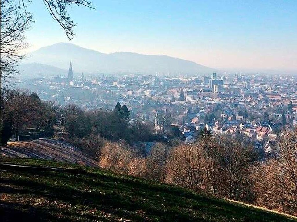 &#8230; oder Freiburg von oben.  | Foto: Elisa Rintjes
