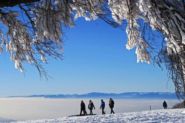 Hinter dem Nebelmeer im Rheintal sieht man die Vogesen.  | Foto: Max Heinke