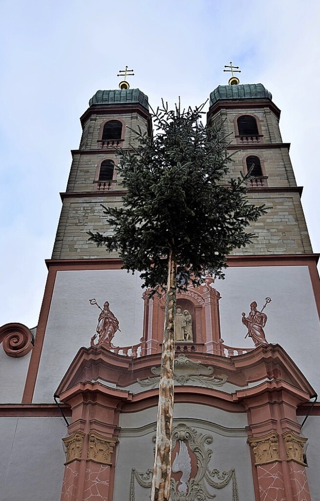 Lange vor dem ersten Faien steht ein Narrenbaum vor dem Mnster.  | Foto: Hildegard Siebold