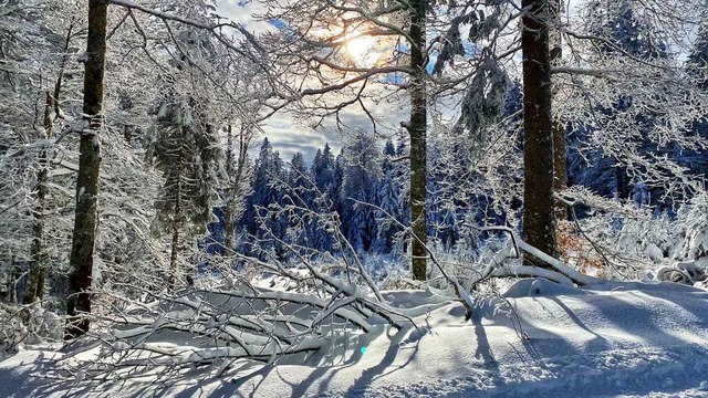 Winterzauber.  | Foto: Nicole Battenberg