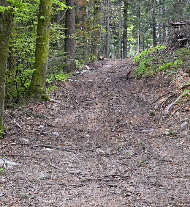 Vorher, nachher: Das linke Bild zeigt ...rdnung Landratsamt waldshut</BZ-Fotos> 