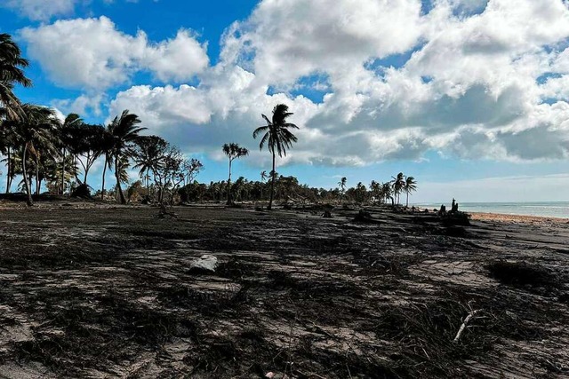Der Vulkanausbruch hat eine Spur der Verwstung auf Tonga hinterlassen.  | Foto: HANDOUT (AFP)