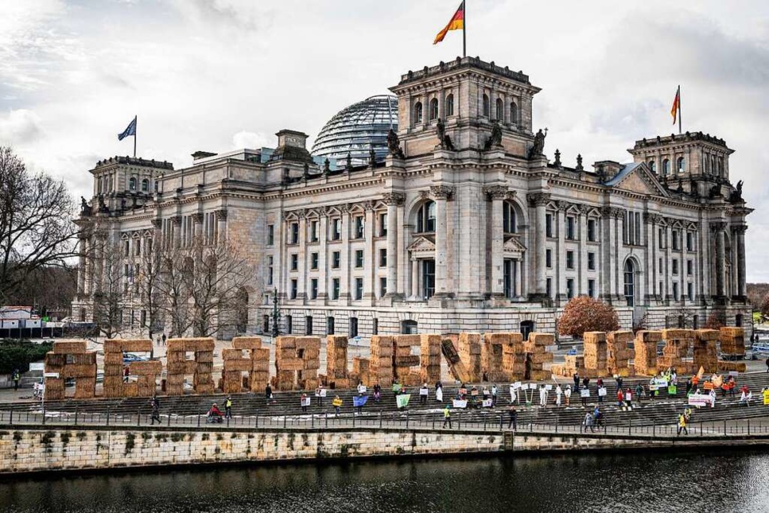 Aktivisten der Protestaktion des «Wir ...vor dem Reichstagsgebäude aufgestellt.  | Foto: Fabian Sommer (dpa)