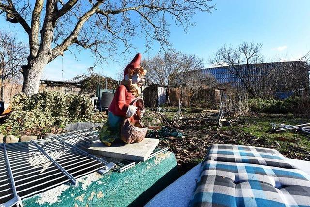 In Freiburg macht sich eine Kleingartenanlage vom Acker – für ein Neubaugebiet