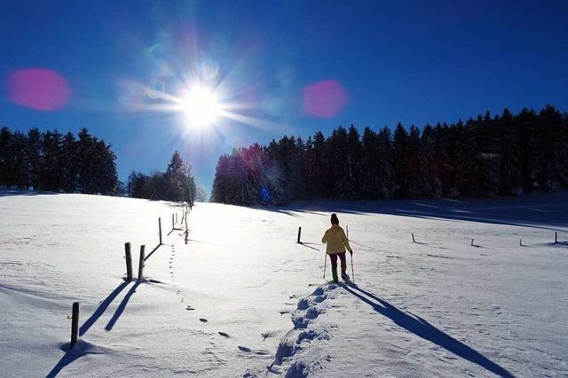 Schneeschuhwandern im Münstertal