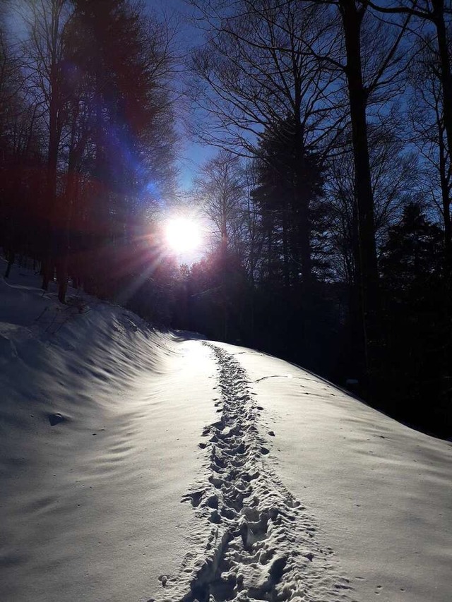 Einsam verschneiter Weg am Kandel.  | Foto: Anja Wehrle