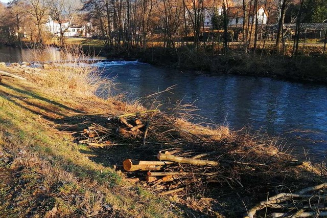 Erneut rgern sich Brger ber Baumfllungen, dieses Mal an der Elz in Kollnau.  | Foto: Sylvia Sredniawa