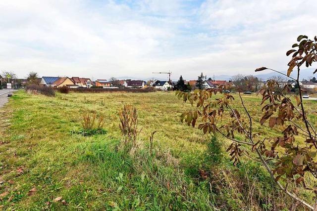 Die Stadt Freiburg will Grundstücke kaufen, wo immer es möglich ist